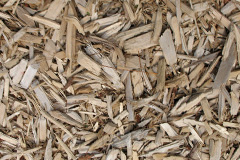 biomass boilers Capel Y Ffin